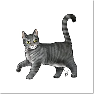 Cat - Cyprus Cat - Gray Tabby Posters and Art